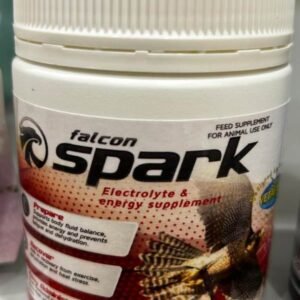 spark electrolyte 100g